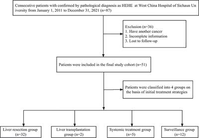 Hepatic epithelioid hemangioendothelioma—a single-institution experience with 51 cases